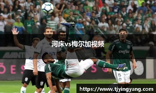 雷竞技raybet官网