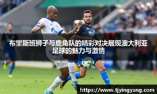 布里斯班狮子与鹿角队的精彩对决展现澳大利亚足球的魅力与激情