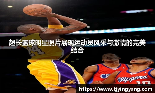 球速体育网站