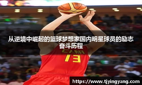 球速体育官方